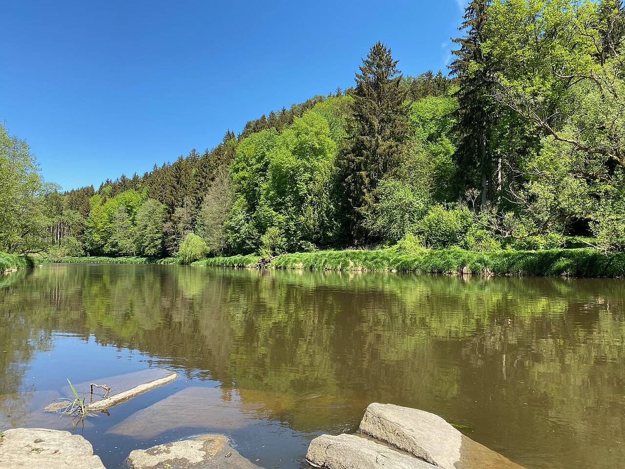 Sonnige Landschaft bei Ruderting im Passauer Land mit grünen Waldhängen am Wasser